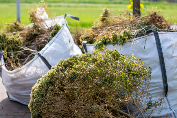 Attic Cleanout Services in Trevose, PA